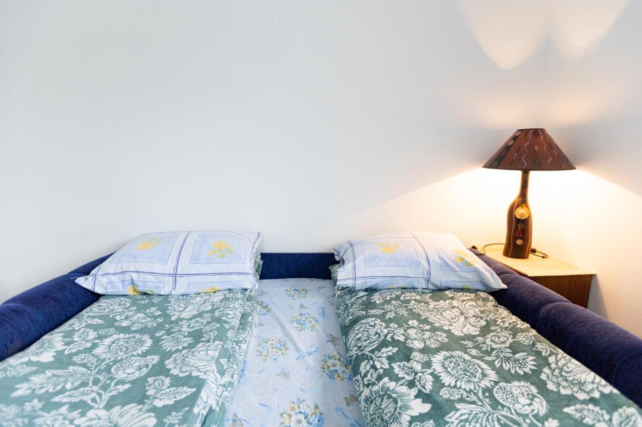 טיינטישטה Apartman Zelengora מראה חיצוני תמונה